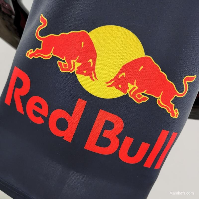 2022 F1 Redbull Jersey #0010