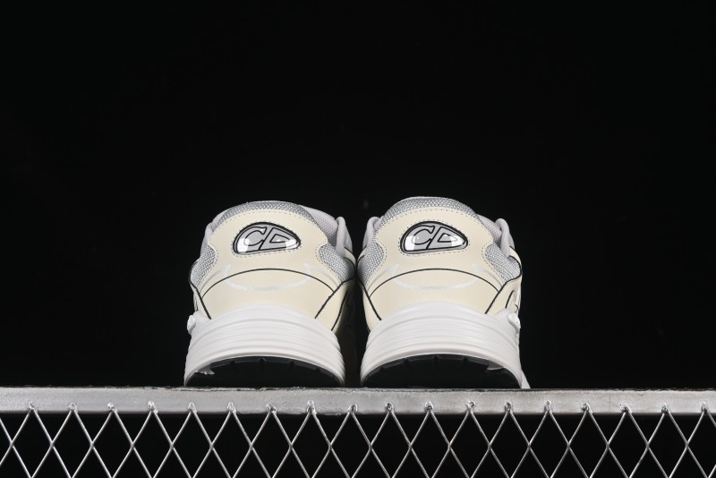 Dior B30 CD Sneakers - AJE5