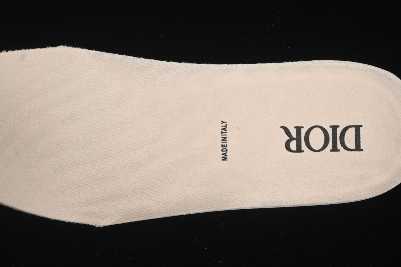 Dior B30 CD Sneakers - AJE5