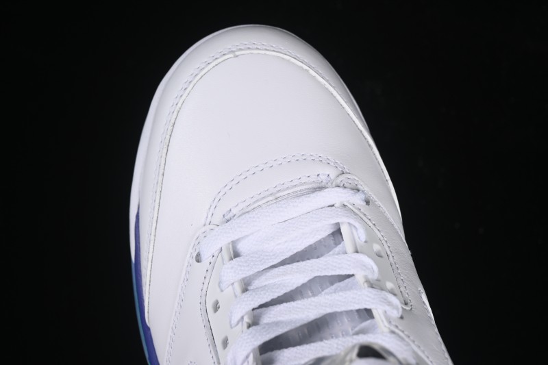 Nike Air Jordan 5 OG Grape Basketball Shoes - HQ7978-100