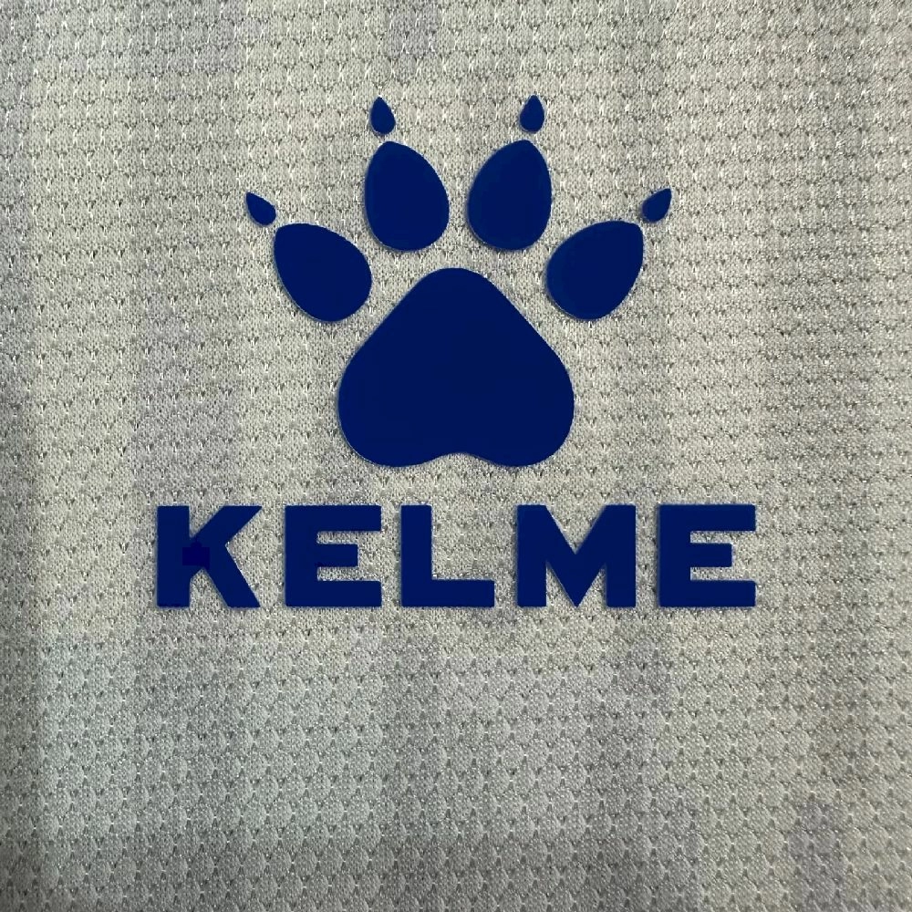 2025/26 Mens RCD Espanyol Home Jersey